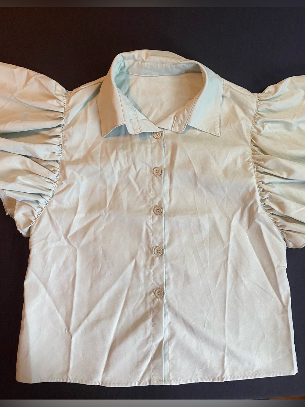 Puff Sleeve Button-Up Blouse in Light Mint